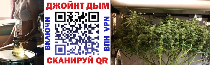 Бошки Шишки Протвино