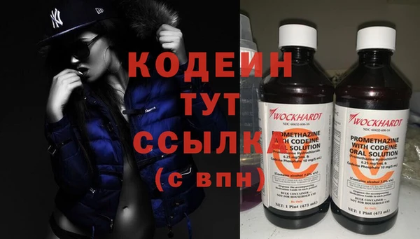 шишки Горно-Алтайск