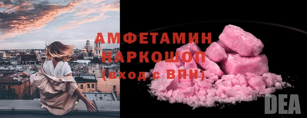 шишки Горно-Алтайск