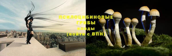 шишки Горно-Алтайск
