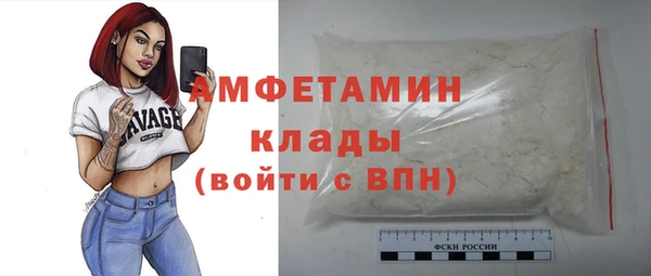 шишки Горно-Алтайск