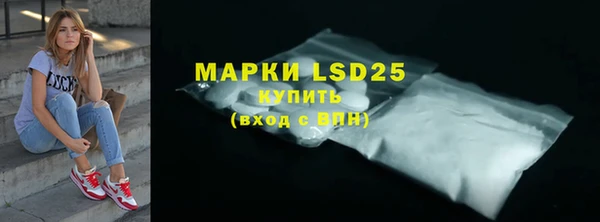 шишки Горно-Алтайск