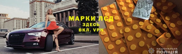 шишки Горно-Алтайск