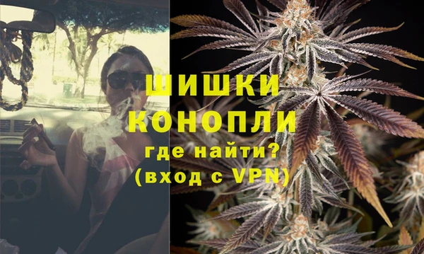 шишки Горно-Алтайск