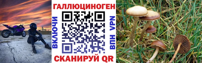 Купить закладки  Протвино  Псилоцибиновые грибы мухоморы 